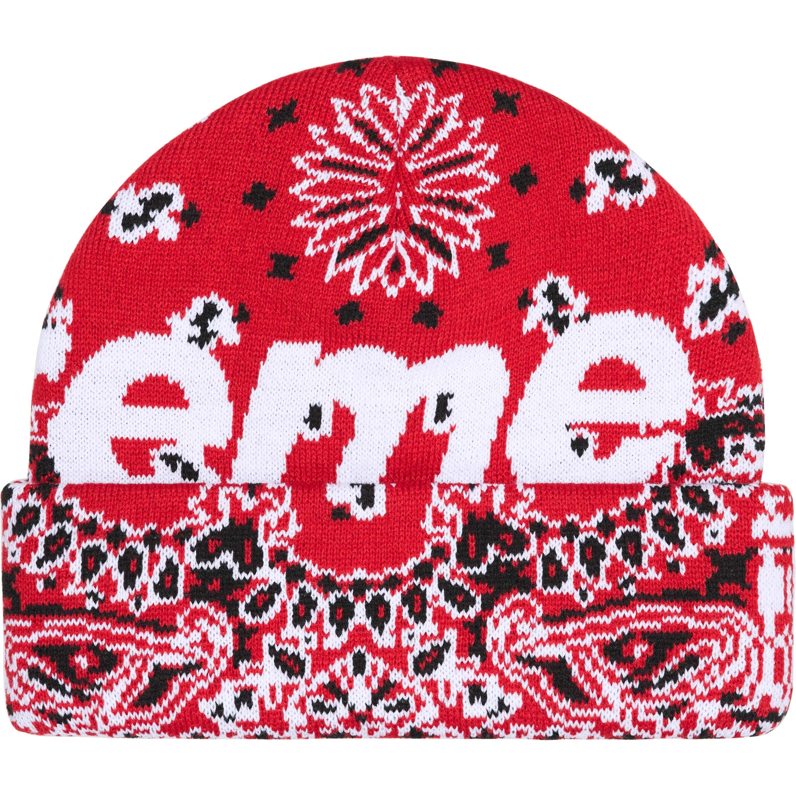 Big Logo Beanie view 18